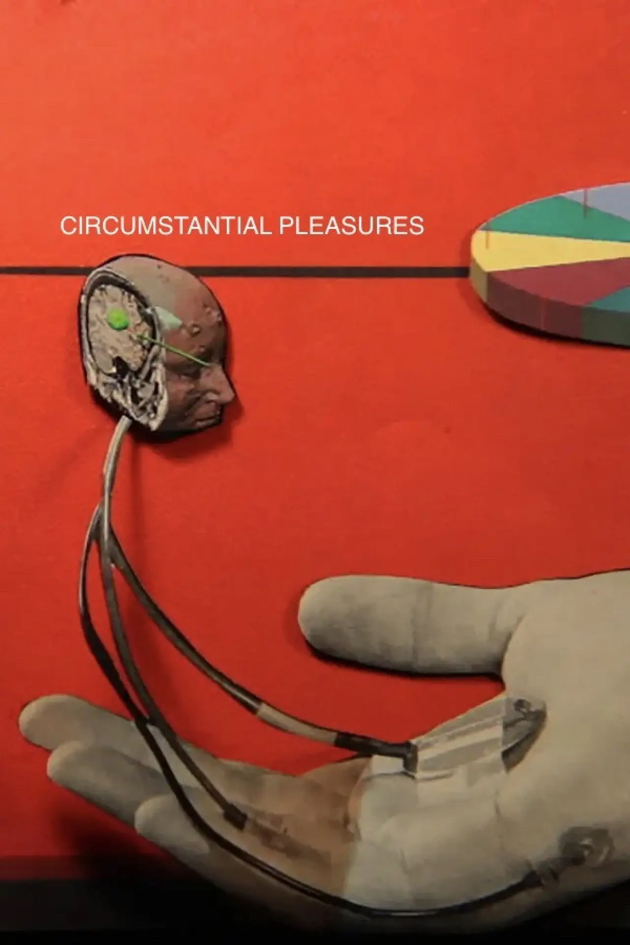 Plakat filmowy "Circumstantial Pleasures"