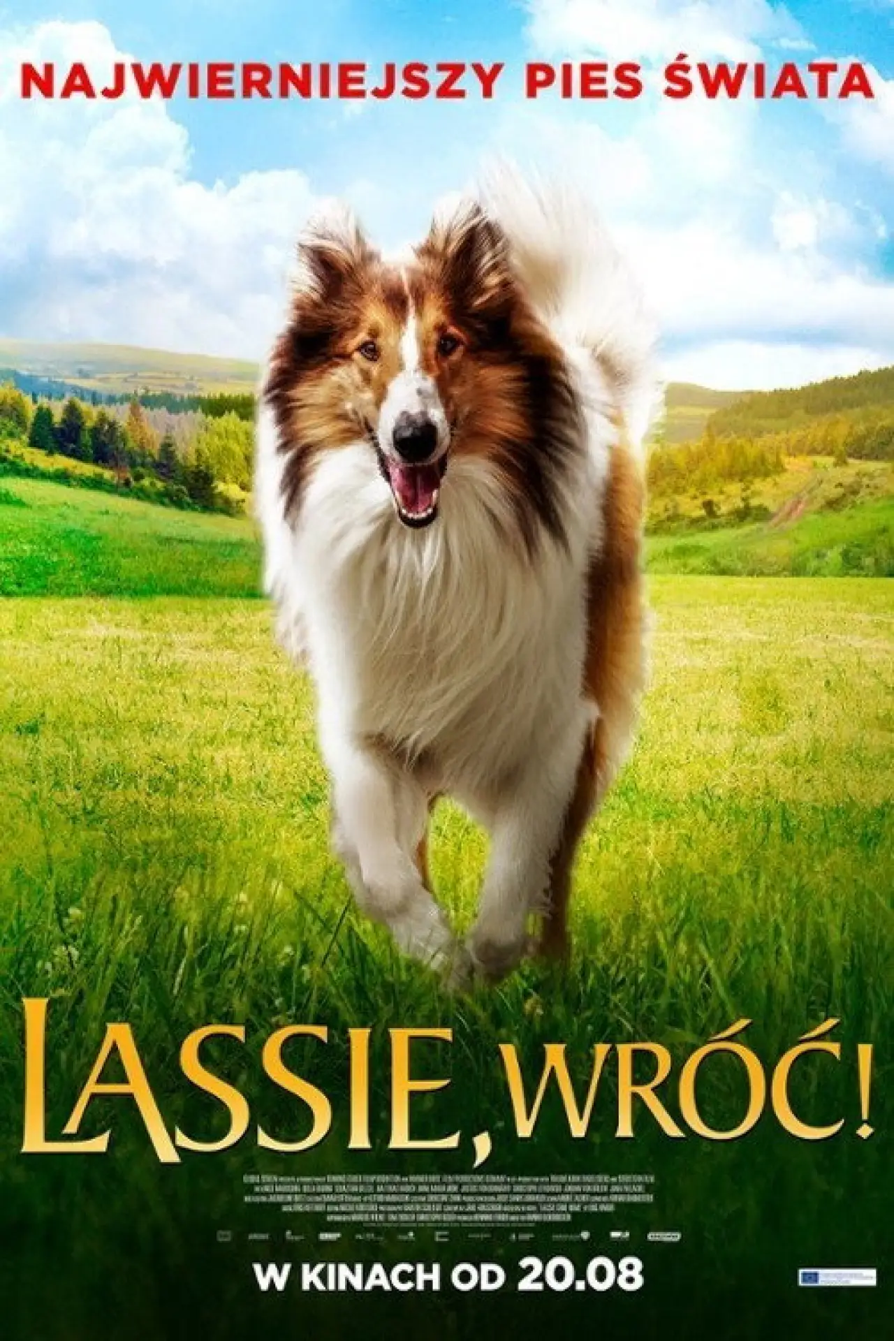 Plakat filmowy "Lassie, wróć!"