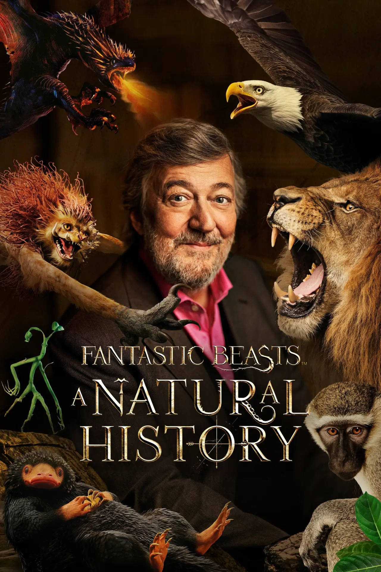 Plakat filmowy "Fantastyczne zwierzęta: Historia naturalna"