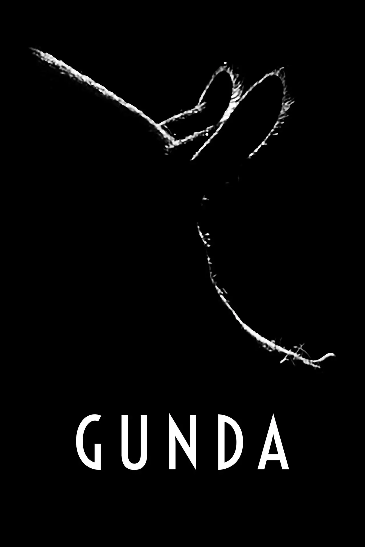 Plakat filmowy "Gunda"