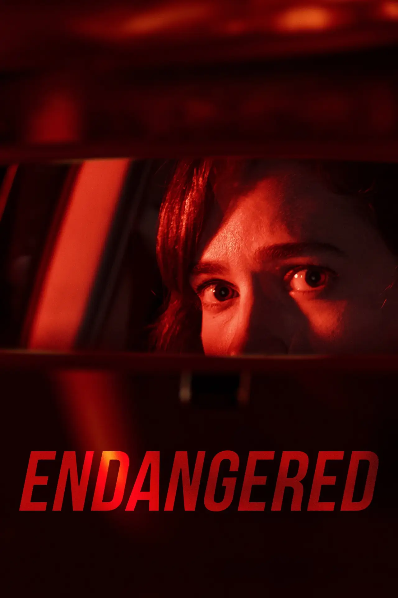 Plakat filmowy "Endangered"