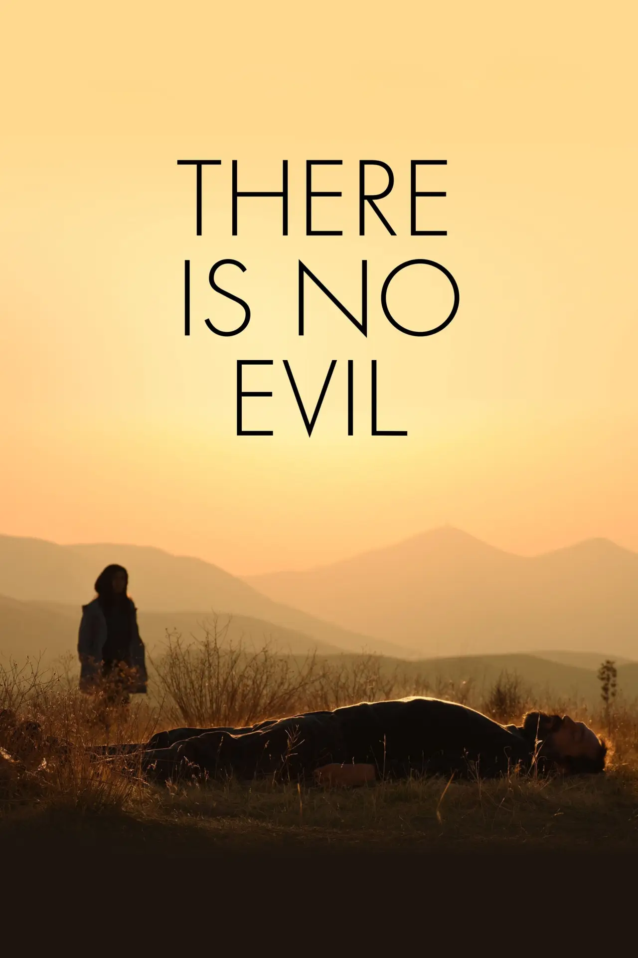 Plakat filmowy "Zło nie istnieje"