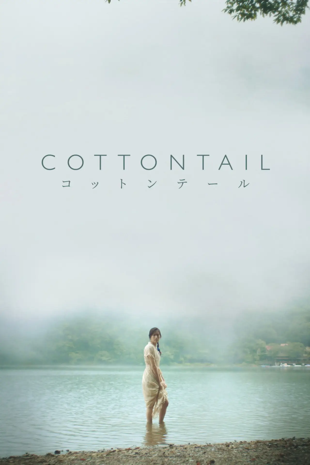 Plakat filmowy "Cottontail"