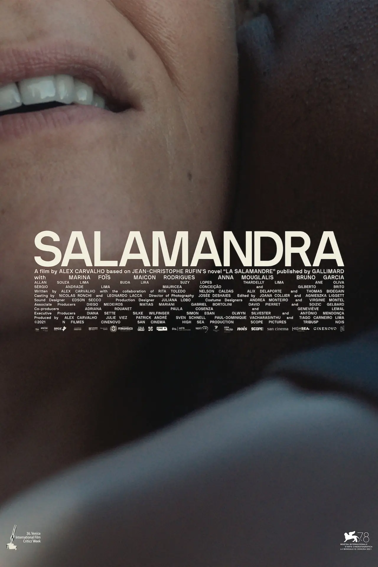 Plakat filmowy "Salamandra"