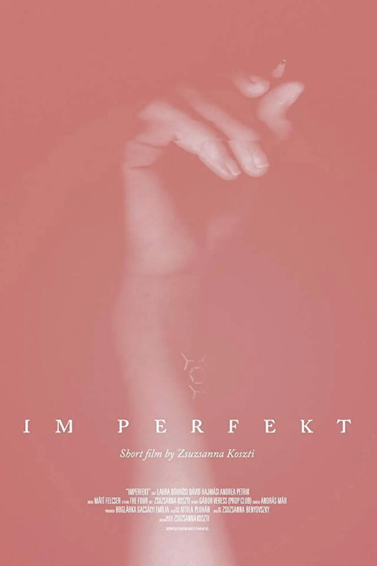 Plakat filmowy "IM Perfekt"