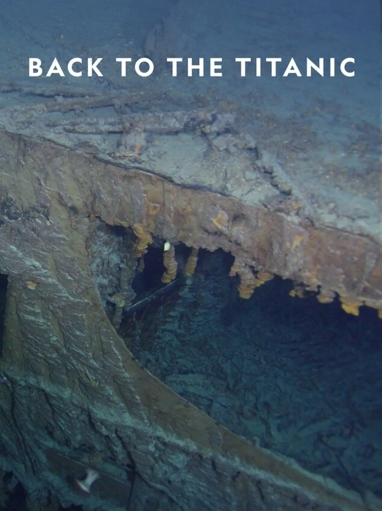 Plakat filmowy "Back to the Titanic"