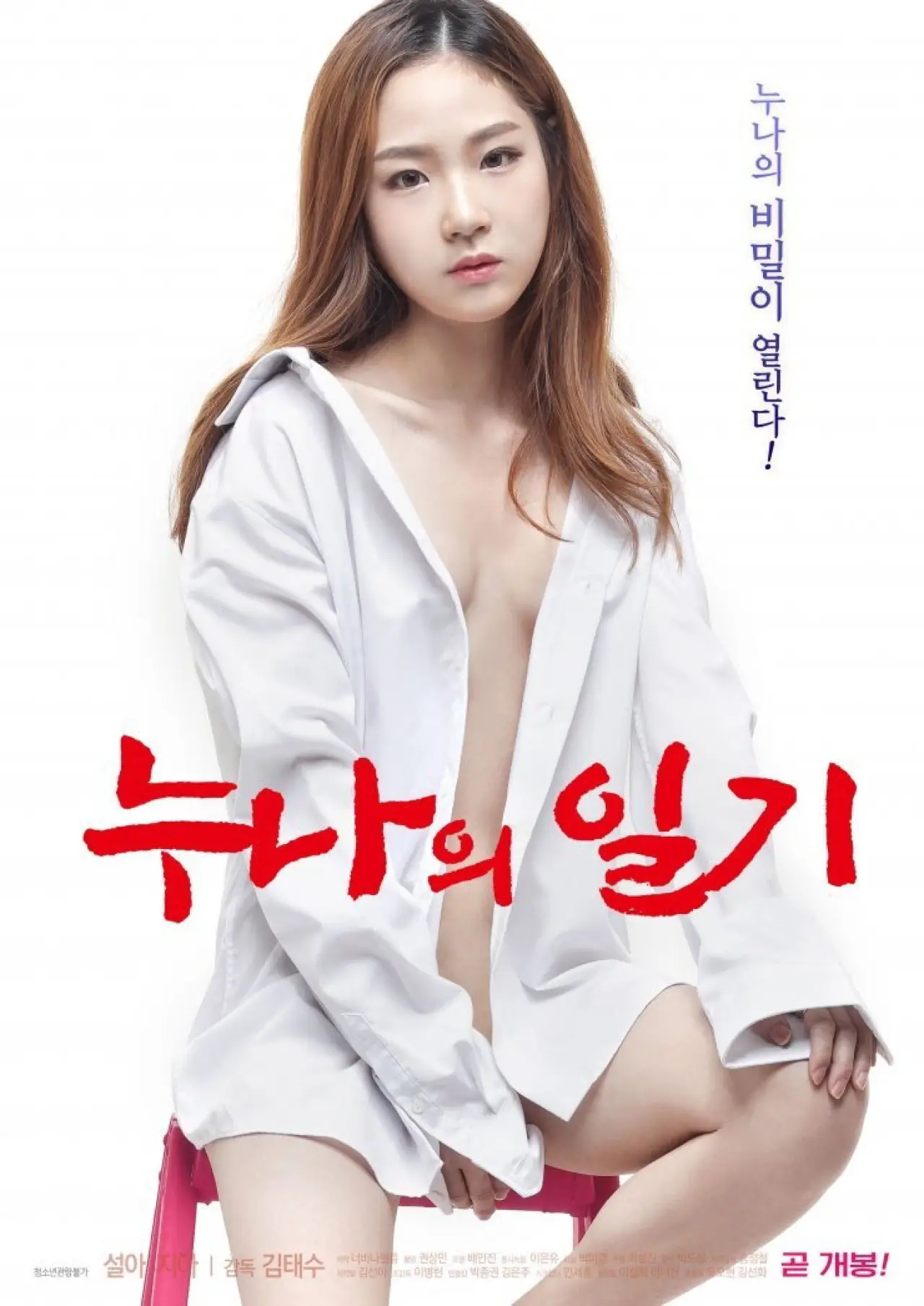 Plakat filmowy "누나의 일기"