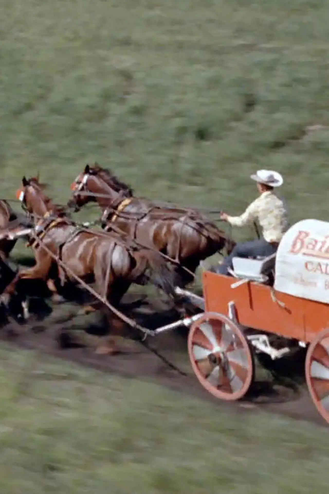 Plakat filmowy "Chuckwagon"
