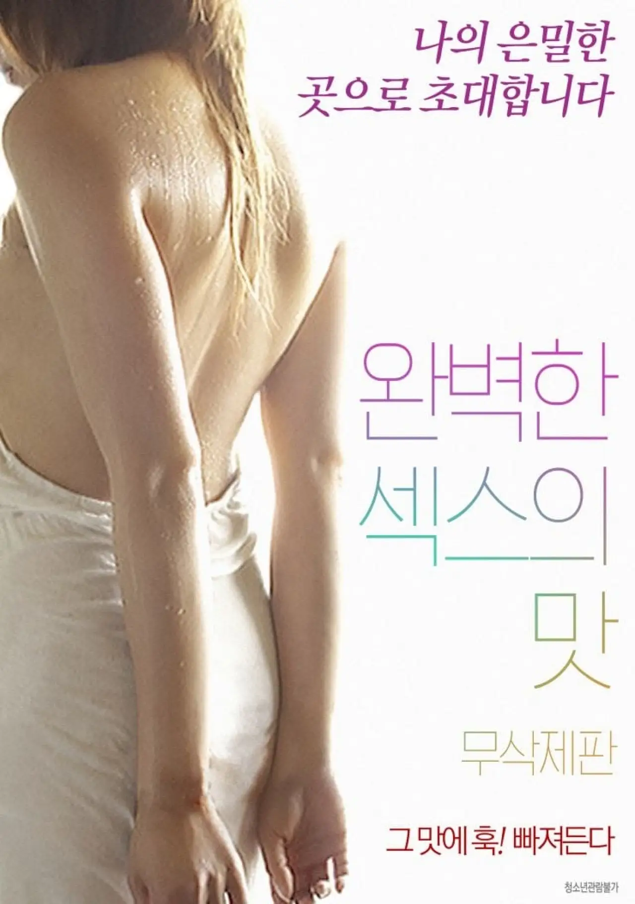 Plakat filmowy "완벽한 섹스의 맛"