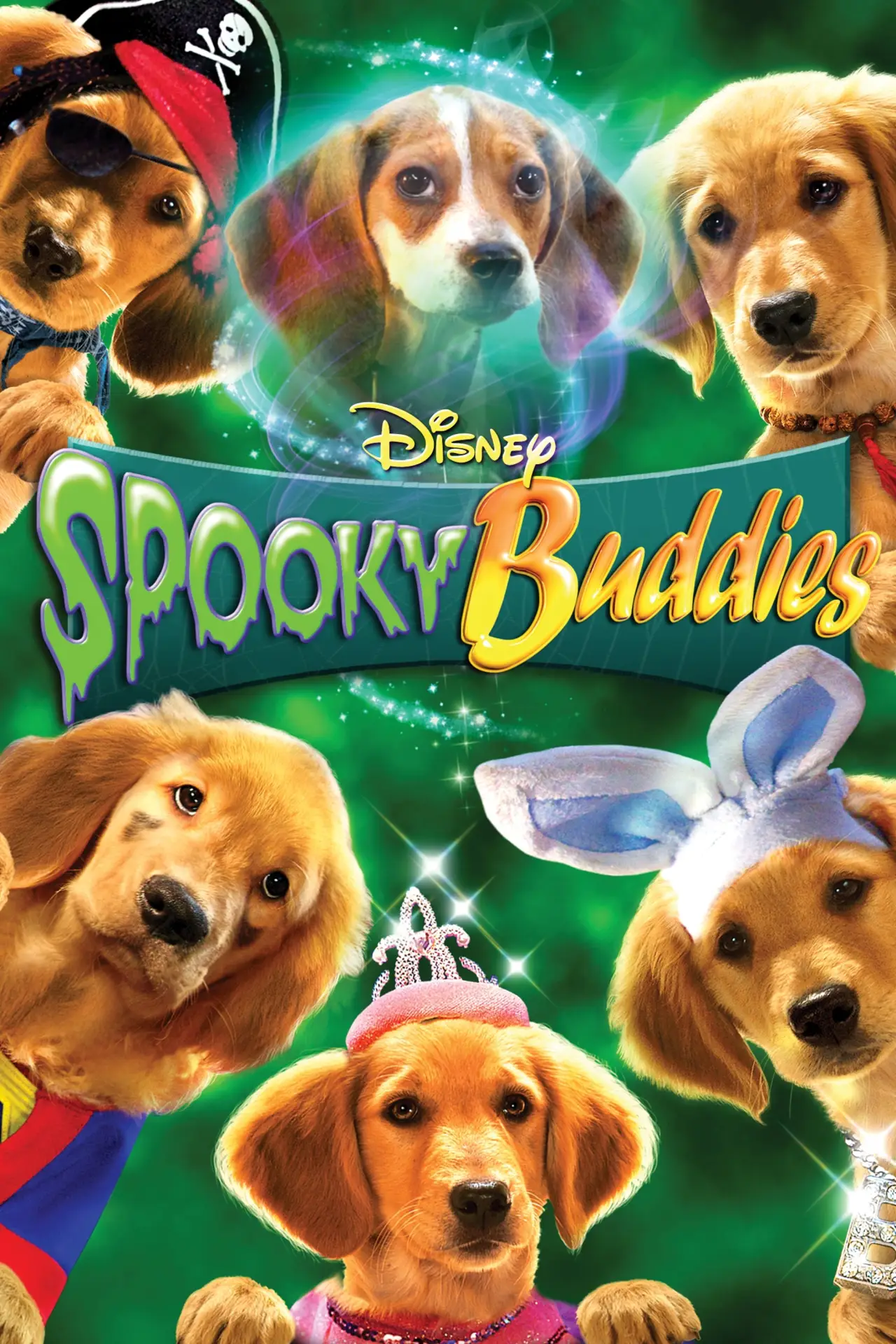 Plakat filmowy "Strachy na psiaki"
