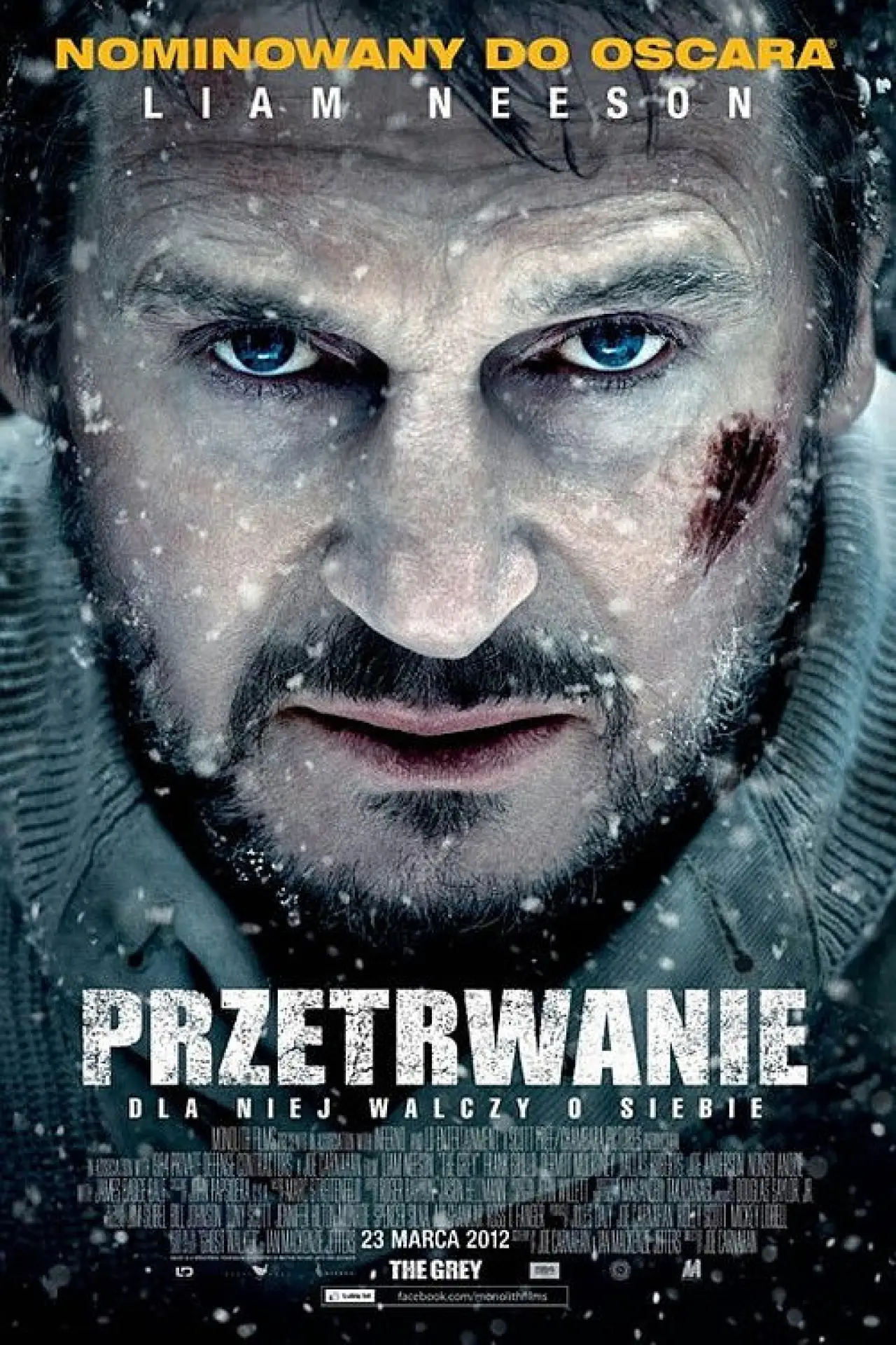 Plakat filmowy "Przetrwanie"