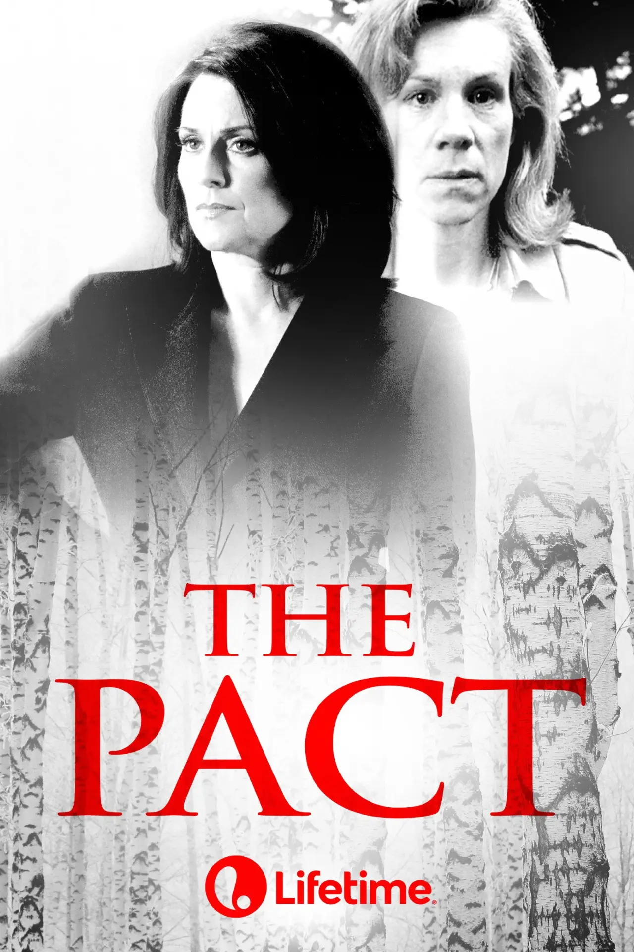 Plakat filmowy "The Pact"