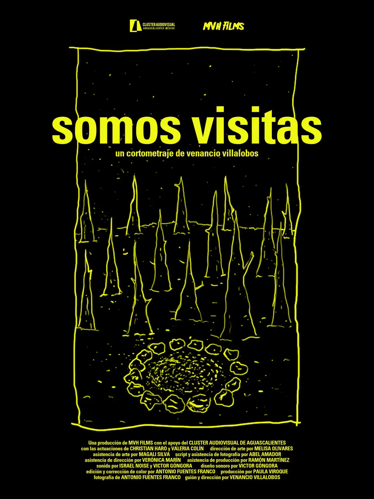 Plakat filmowy "Somos visitas"
