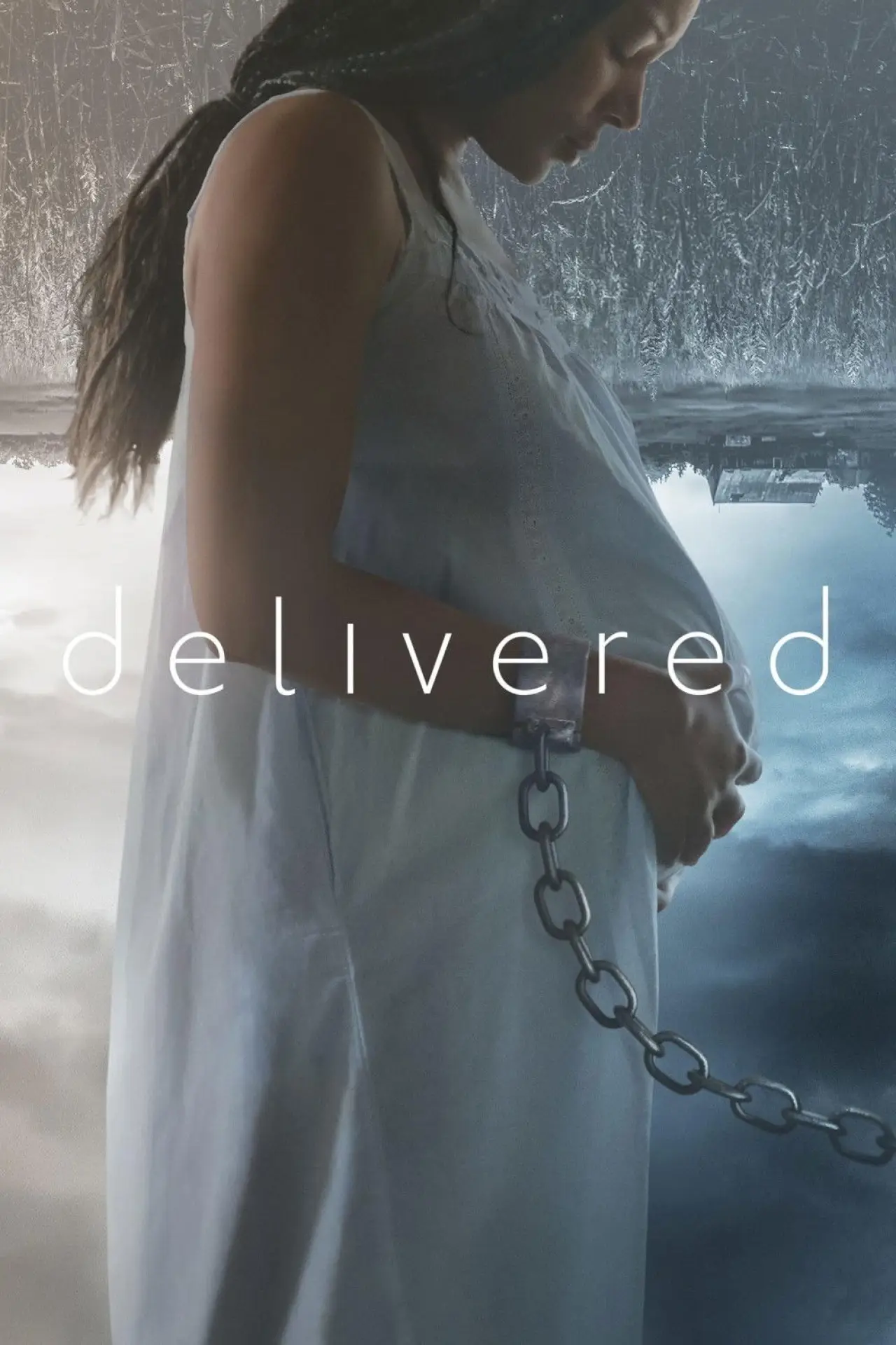 Plakat filmowy "Into the Dark 20: Delivered"