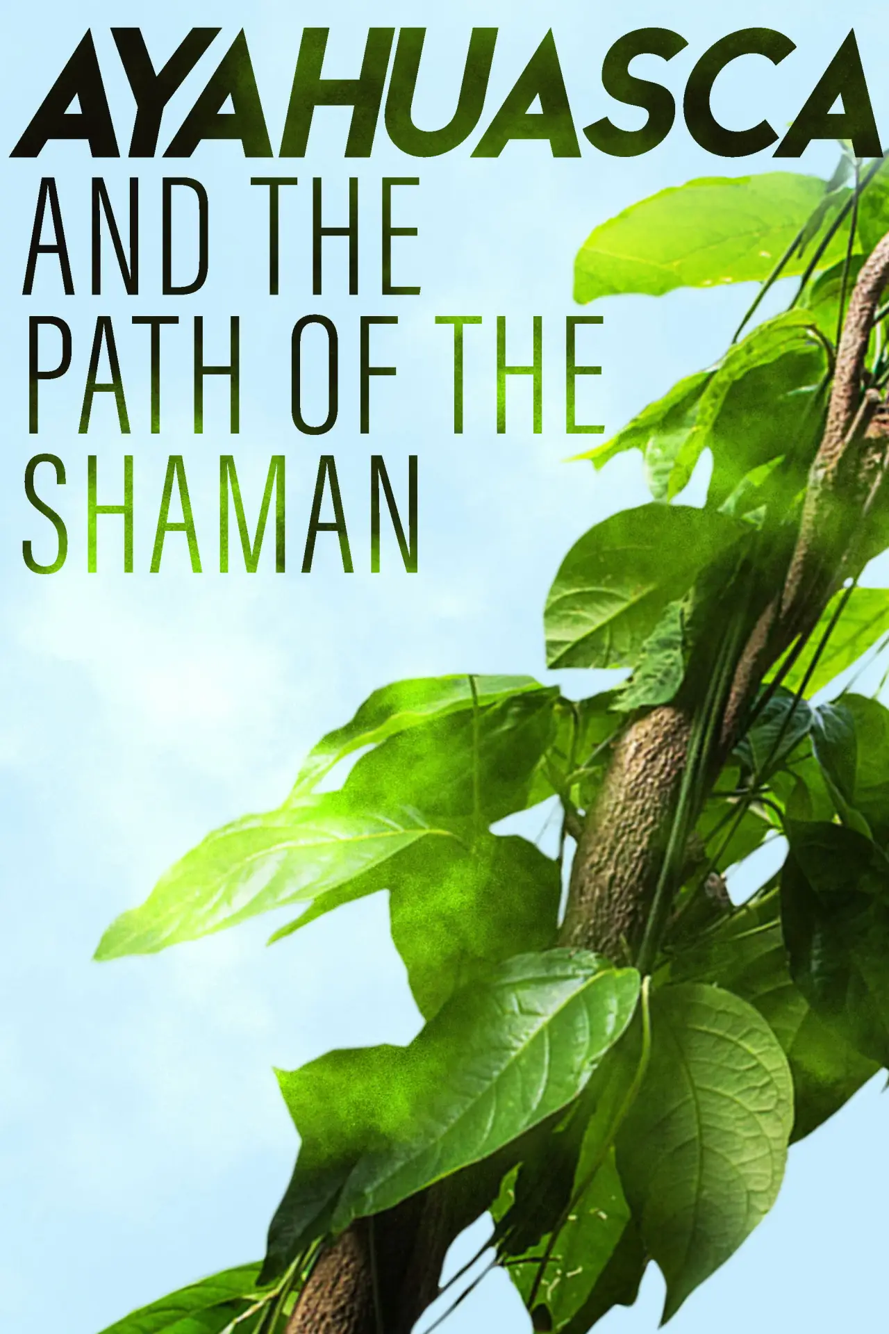 Plakat filmowy "Ayahuasca and the Path of the Shaman"