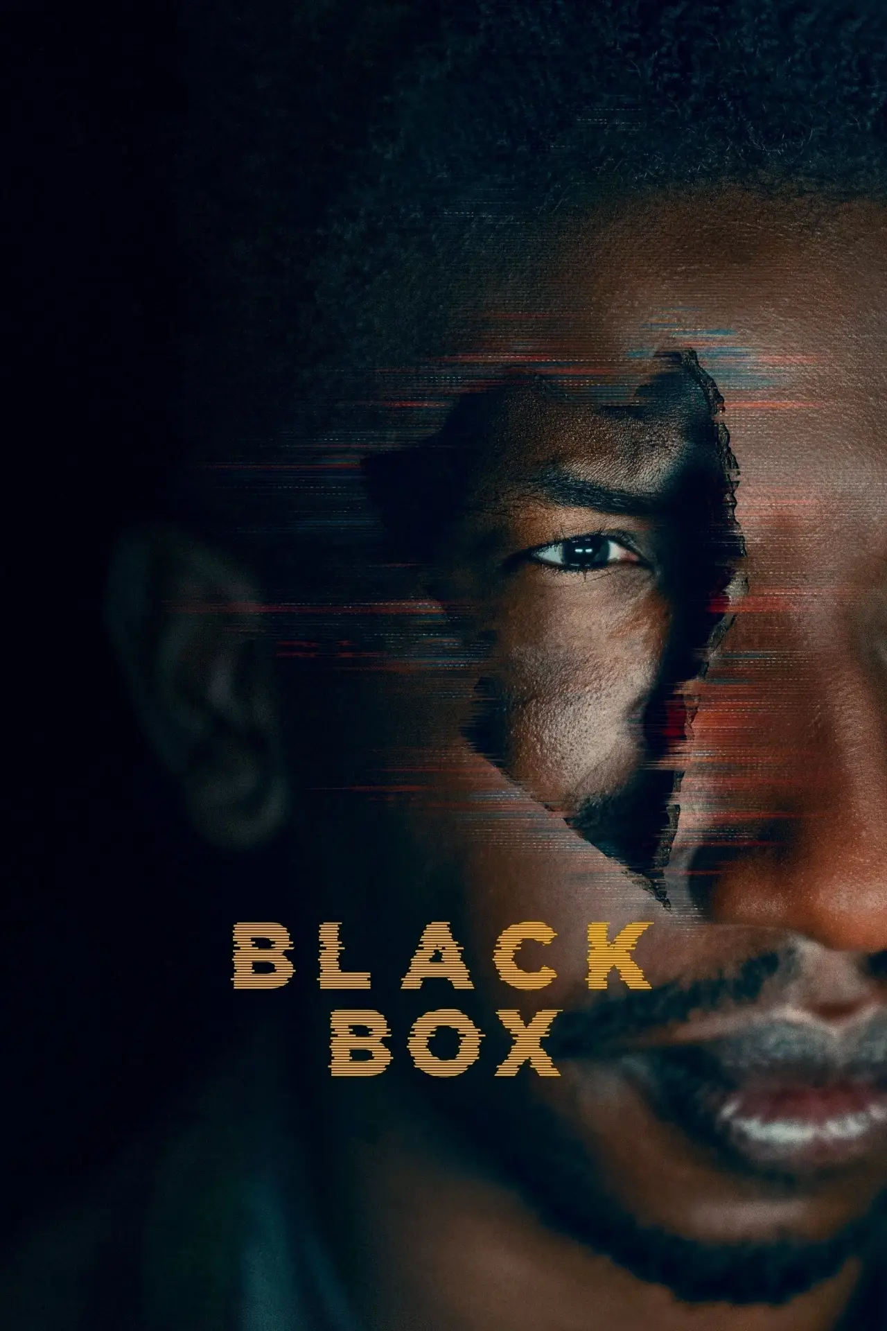 Plakat filmowy "Black Box"