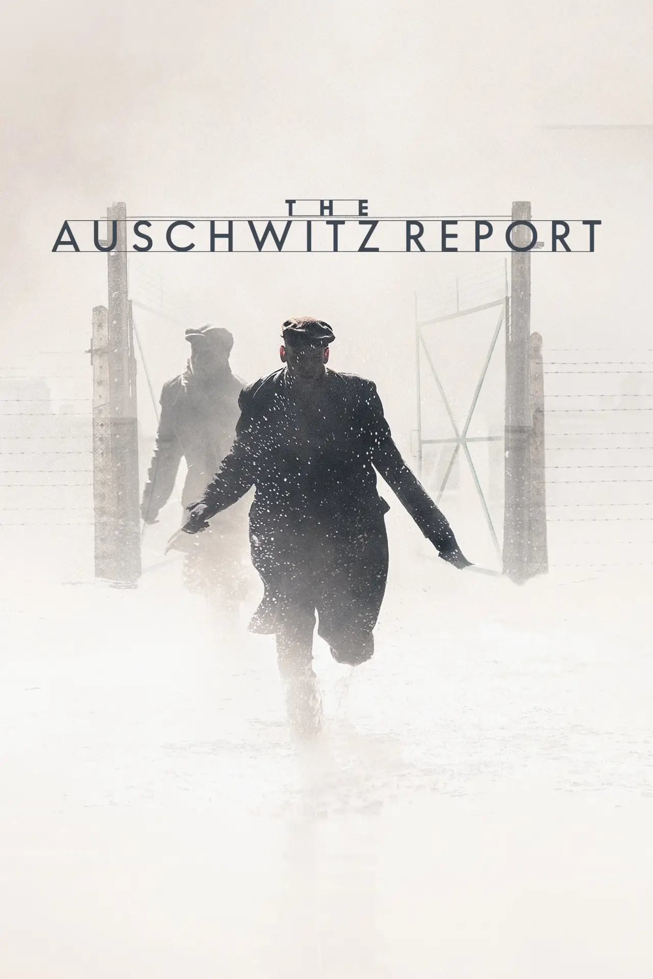 Plakat filmowy "Raport z Auschwitz"