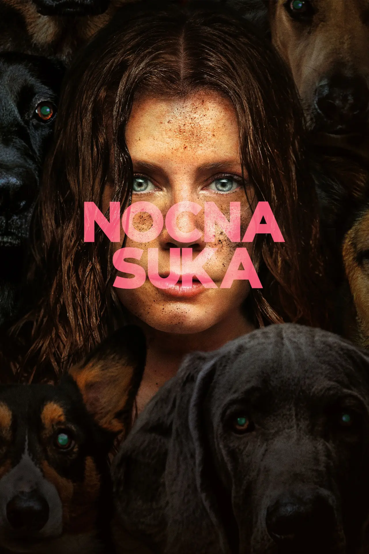 Plakat filmowy "Nocna suka"