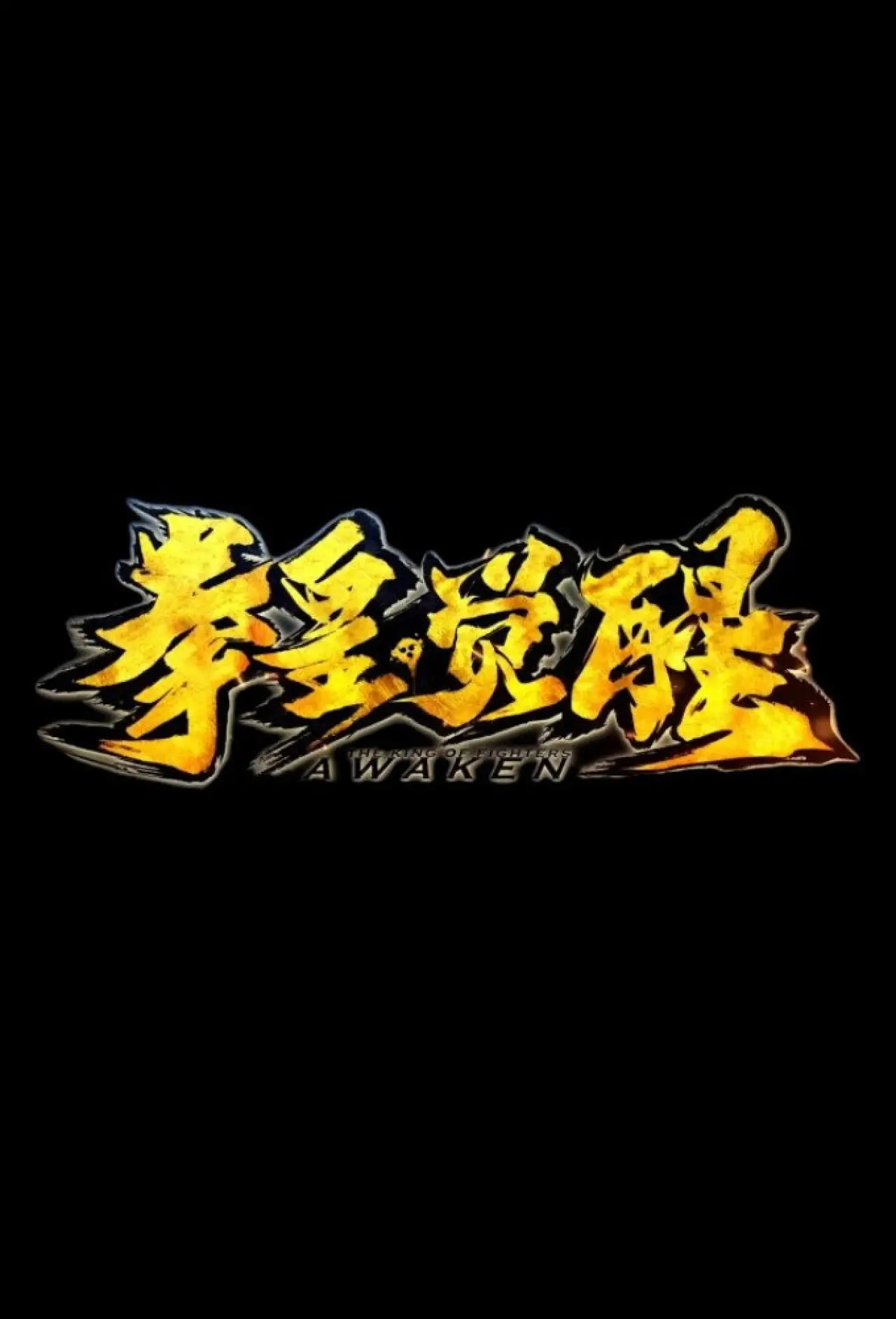 Plakat filmowy "拳皇·觉醒"