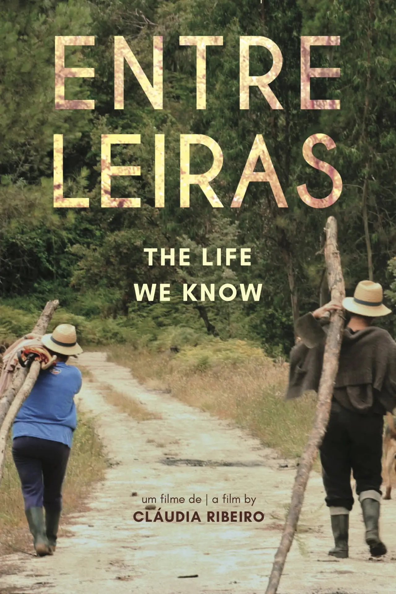 Plakat filmowy "Entre Leiras"