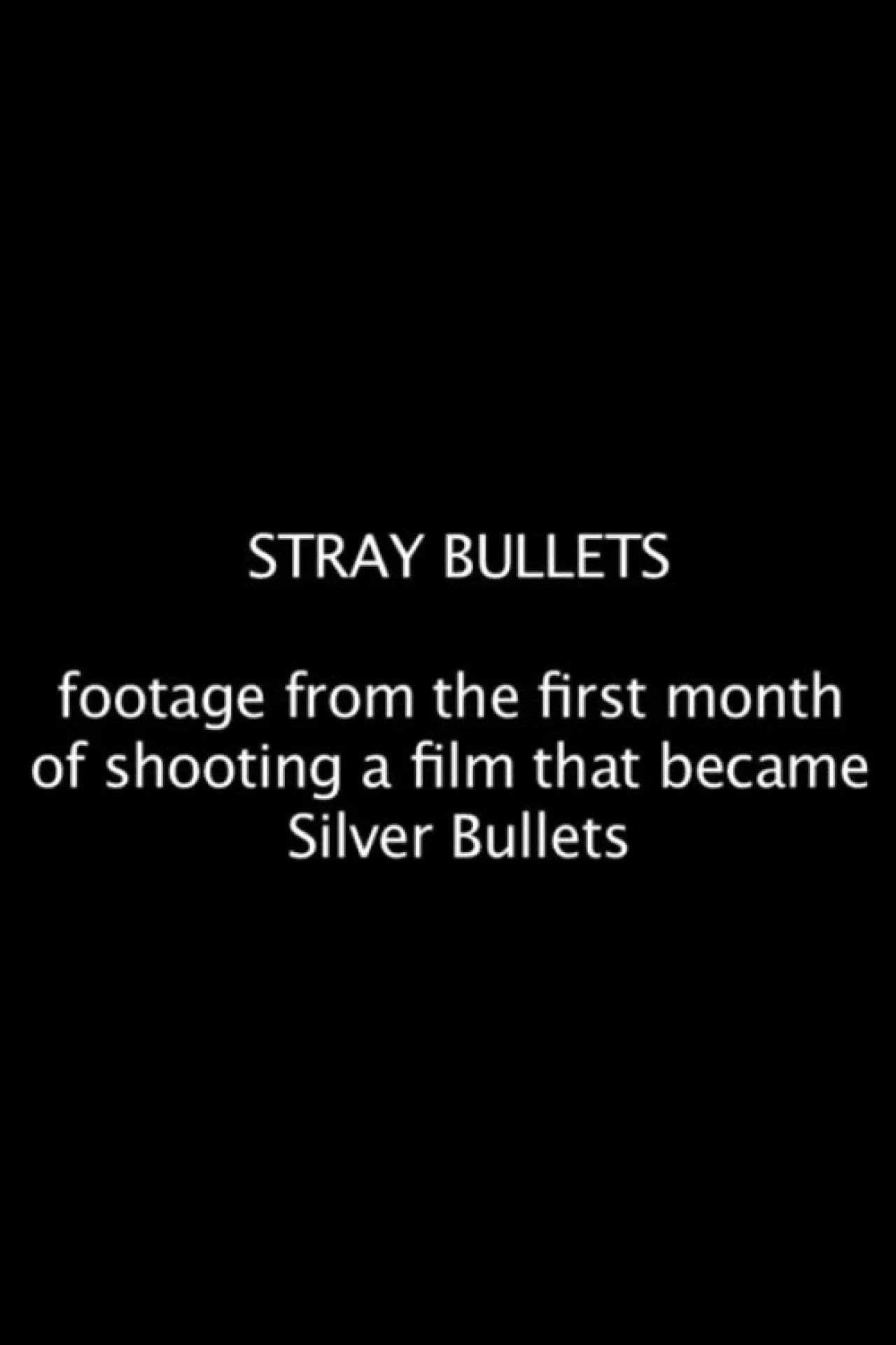 Plakat filmowy "Stray Bullets"