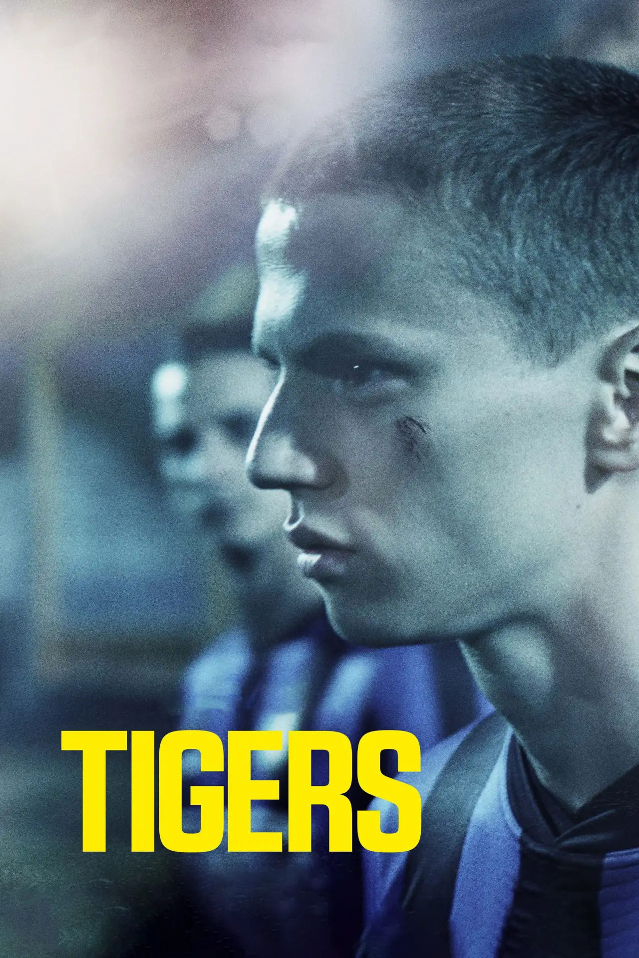 Plakat filmowy "Tygrysy"