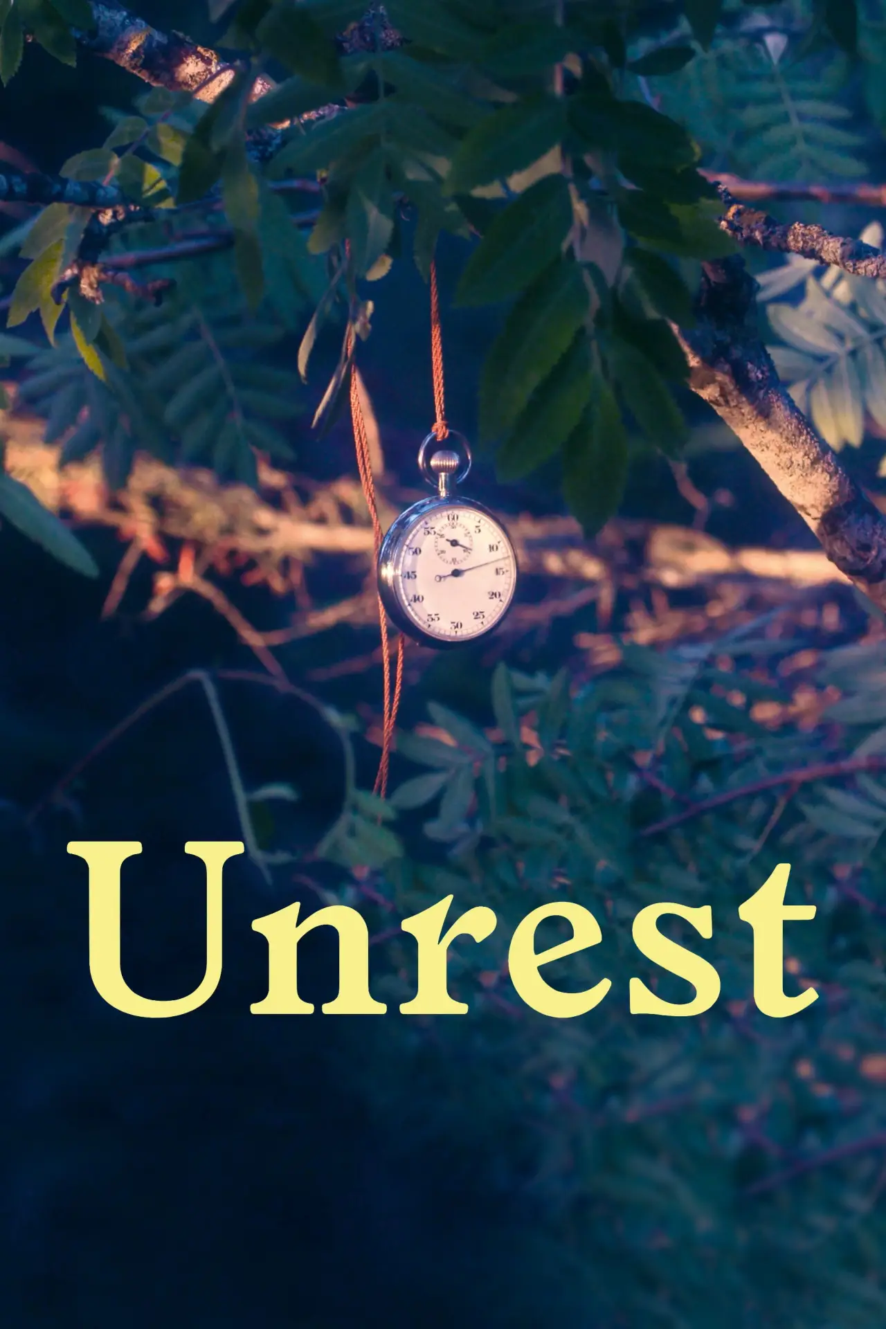 Plakat filmowy "Unrueh"