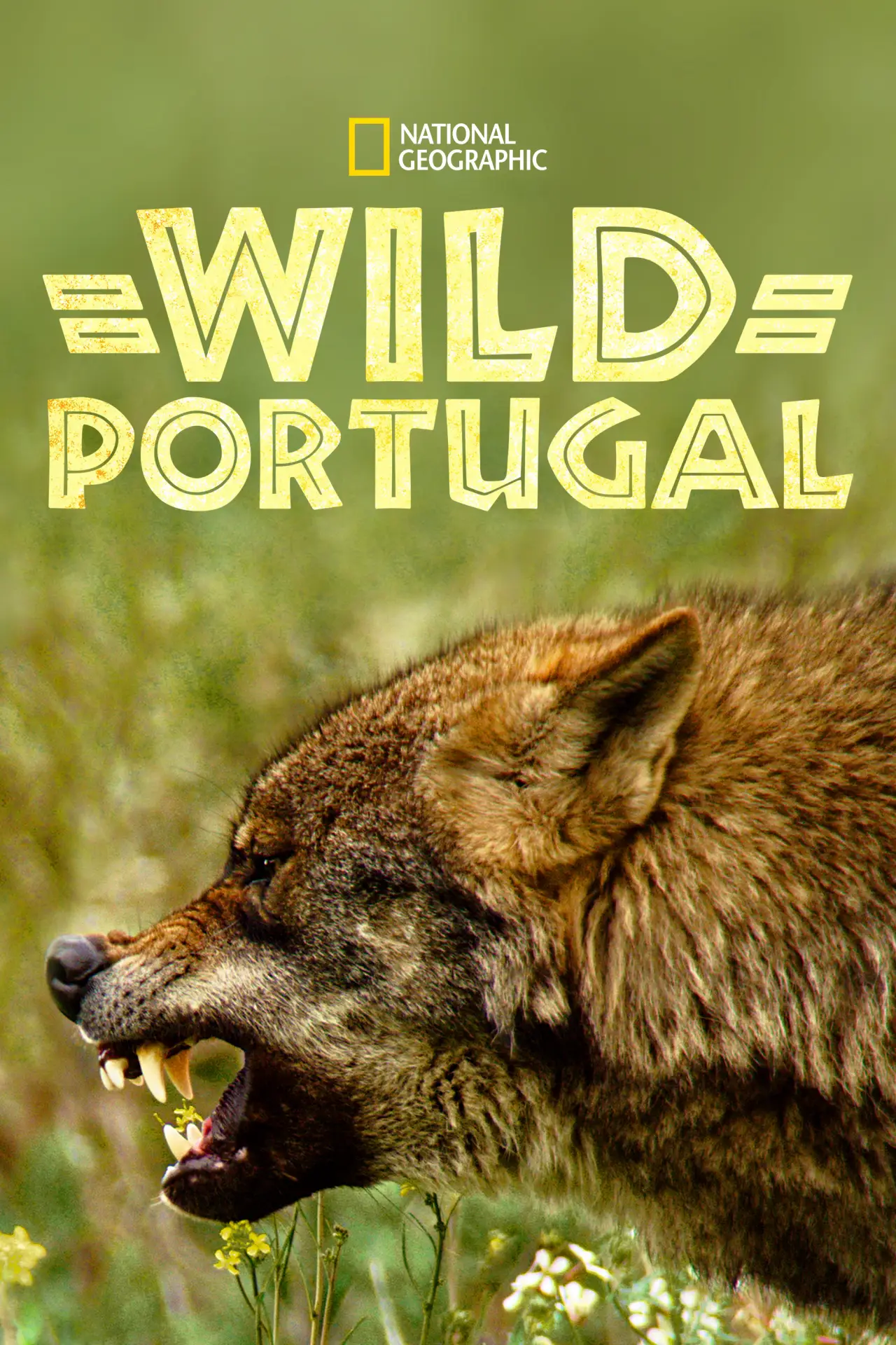 Plakat filmowy "Wild Portugal"
