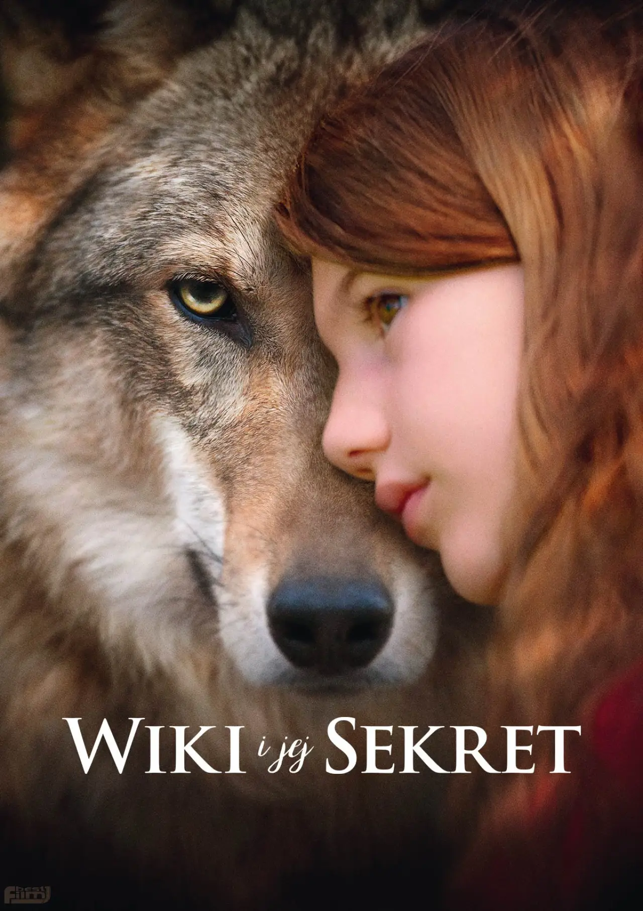 Plakat filmowy "Wiki i jej Sekret"