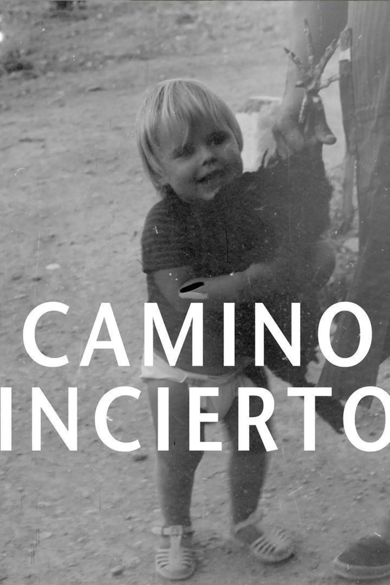 Plakat filmowy "Camino incierto"