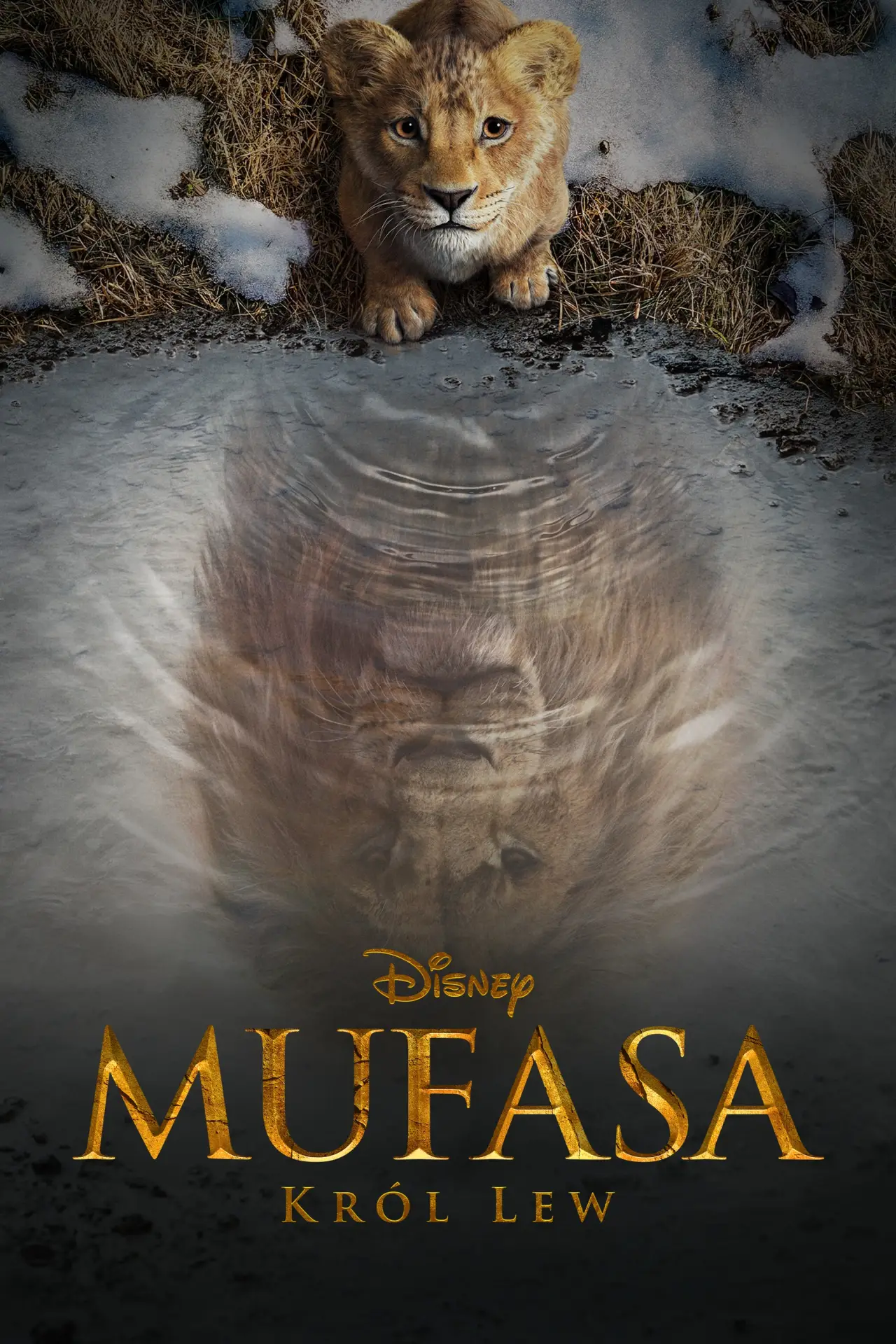 Plakat filmowy "Mufasa: Król Lew"