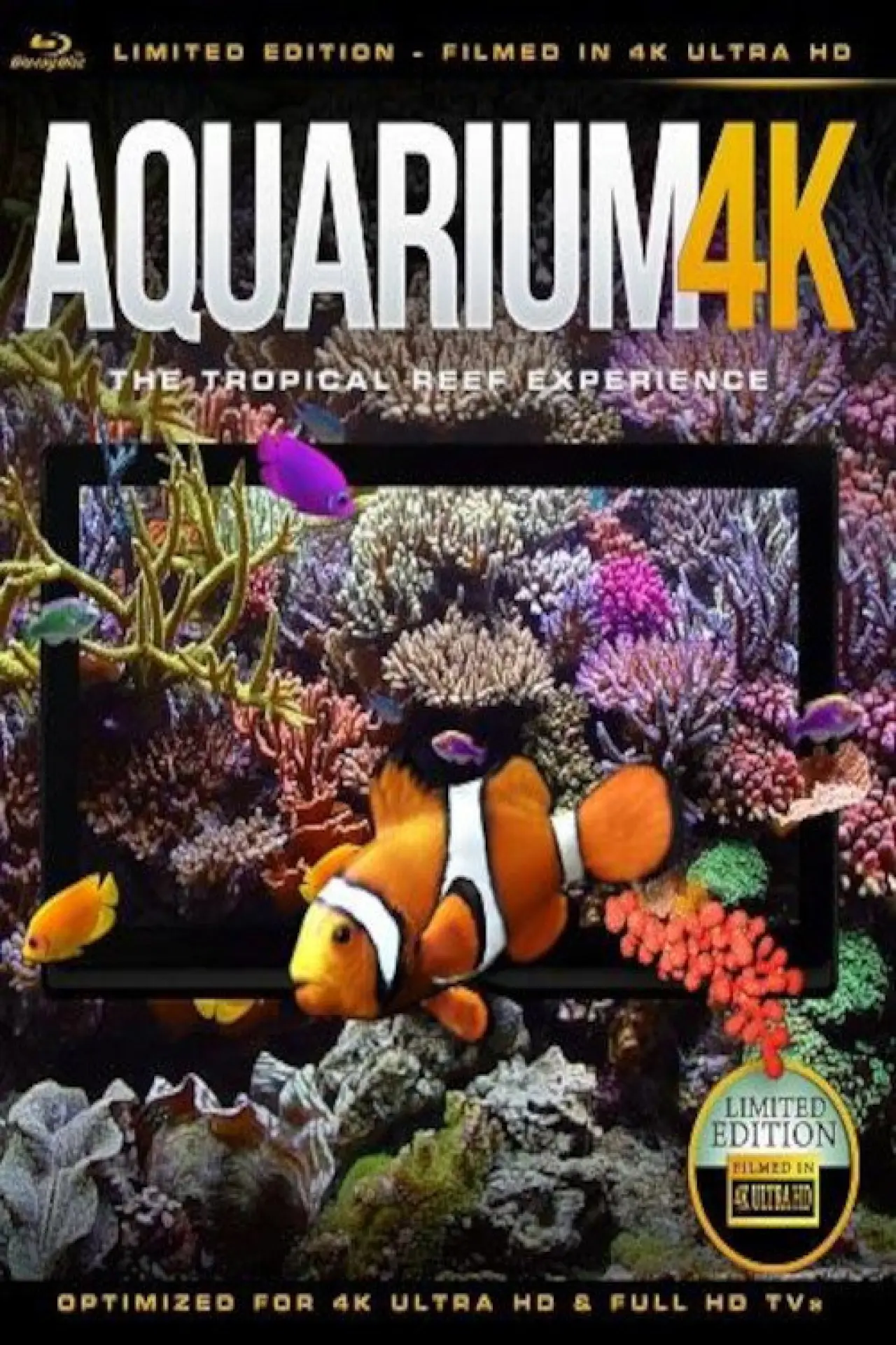 Plakat filmowy "Tropical Aquarium 4K"