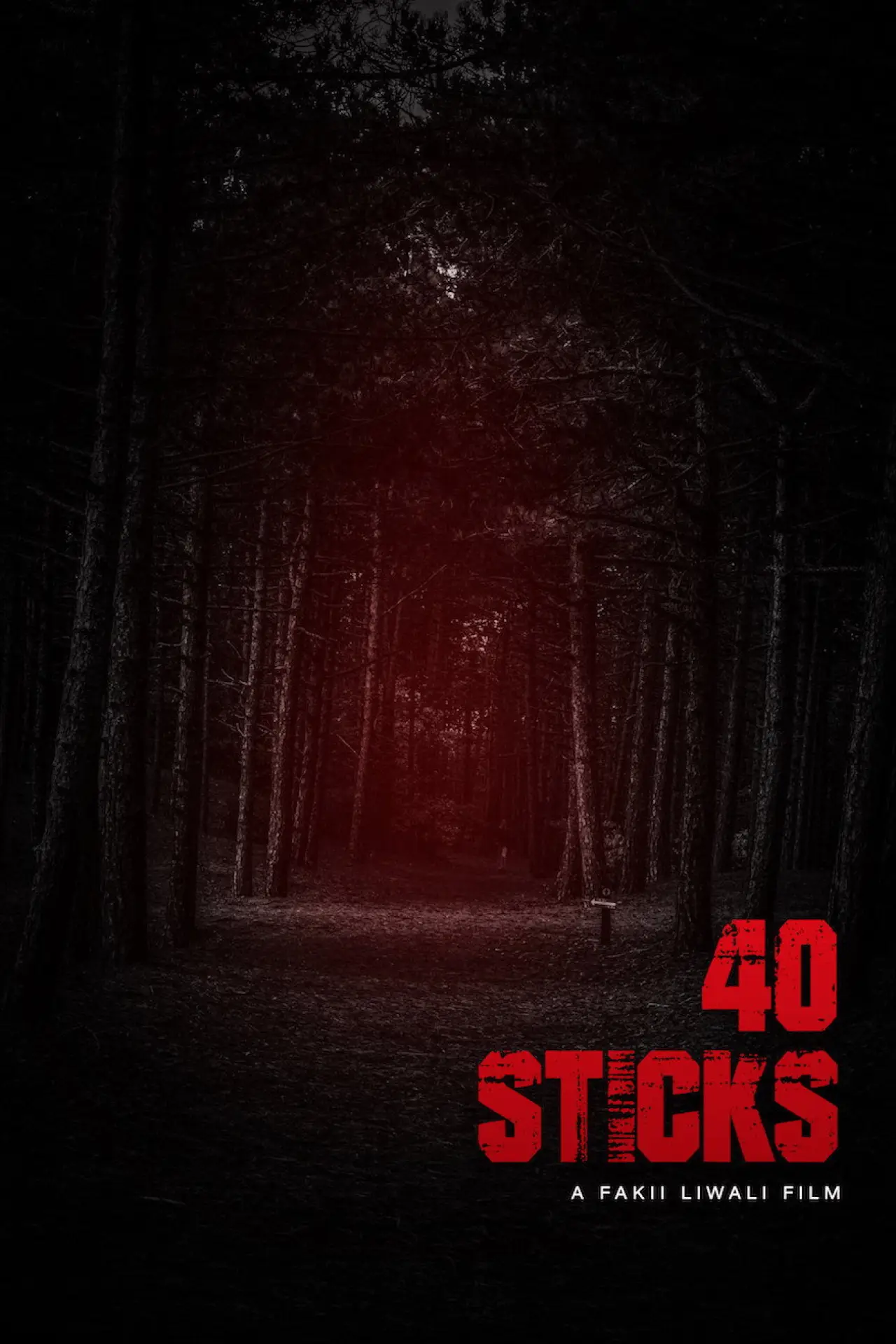 Plakat filmowy "40 Sticks"