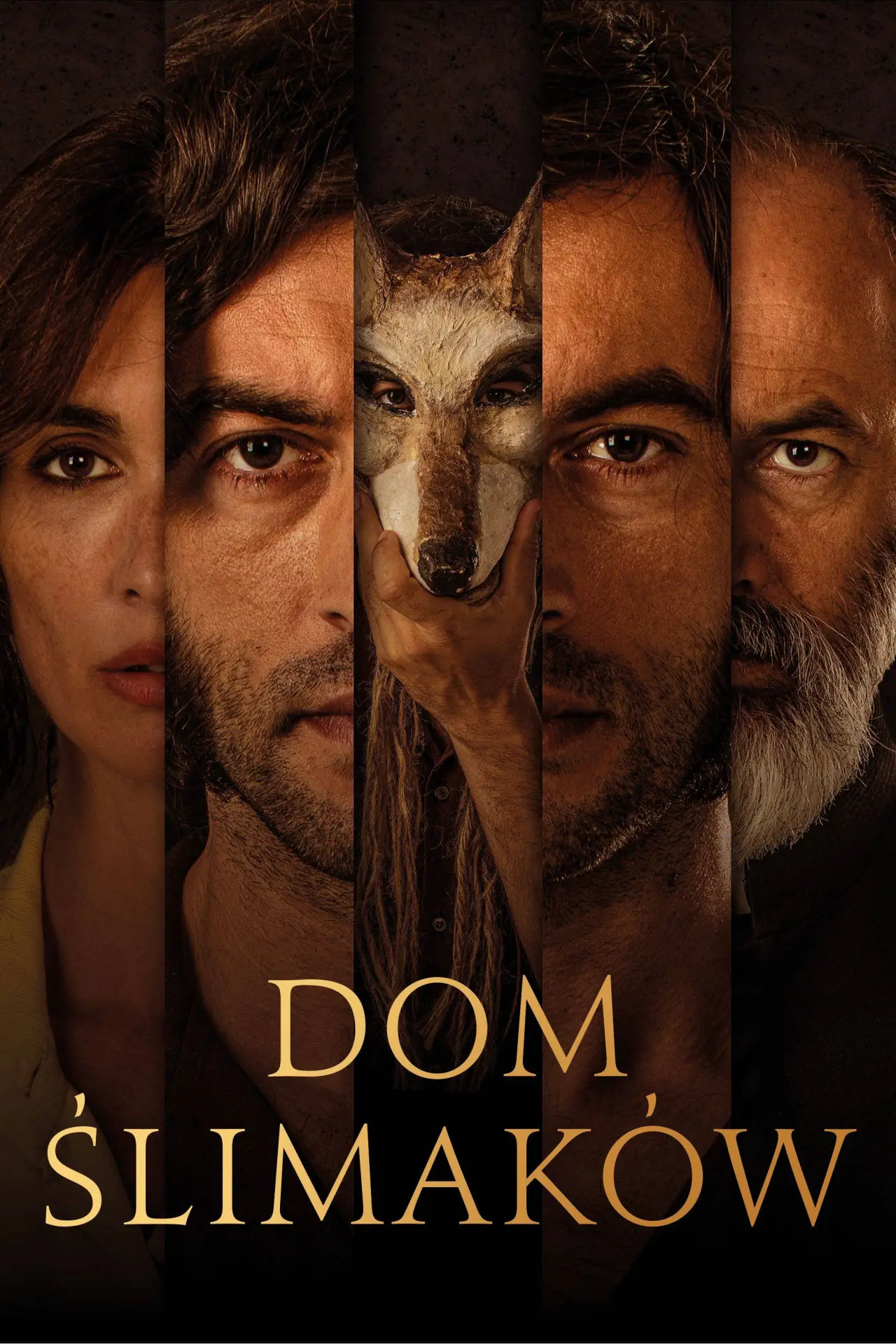 Plakat filmowy "Dom ślimaków"