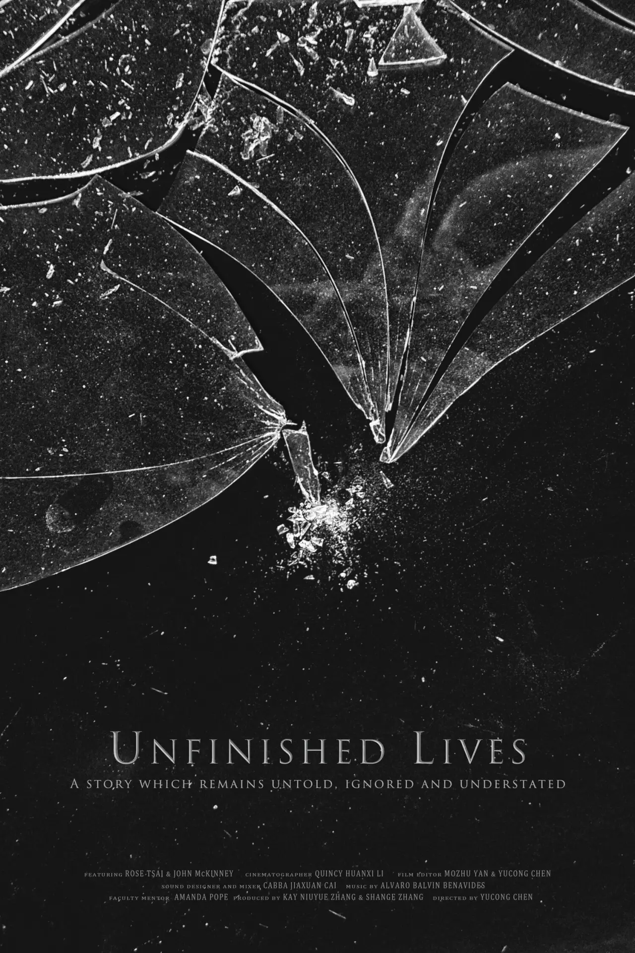 Plakat filmowy "Unfinished Lives"