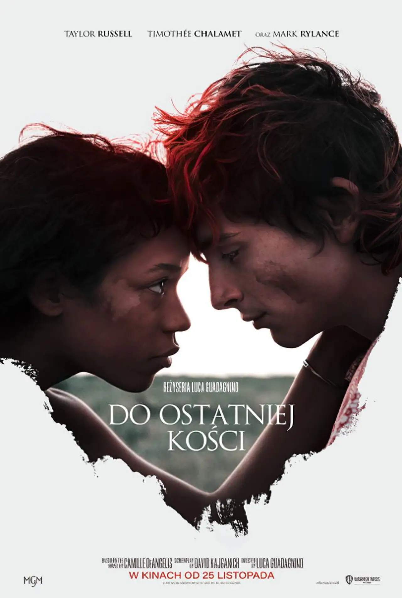 Plakat filmowy "Do ostatniej kości"