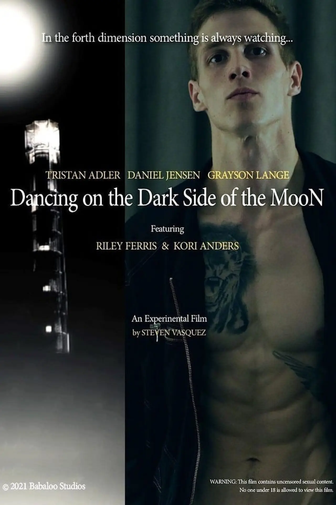 Plakat filmowy "Dancing on the Dark Side of the Moon"
