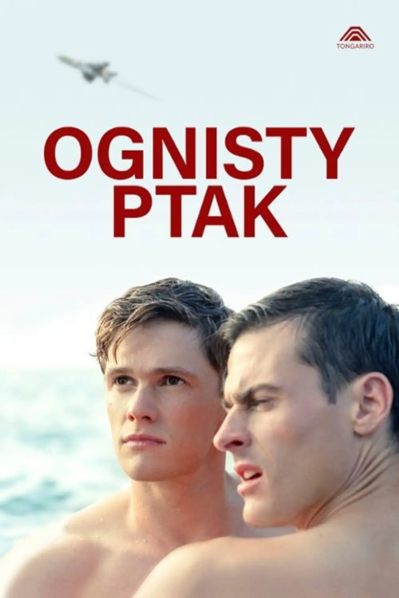 Plakat filmowy "Ognisty ptak"