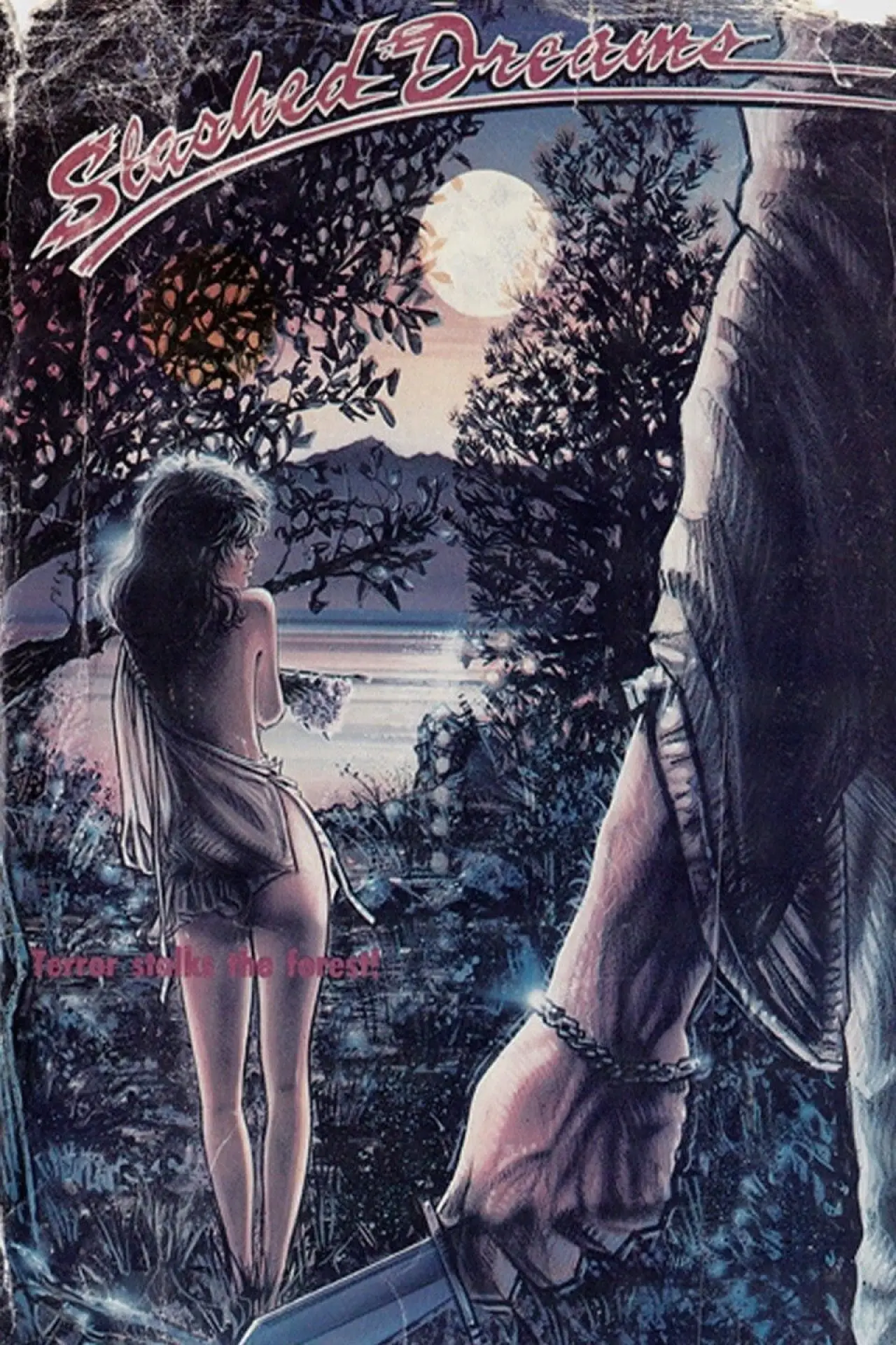 Plakat filmowy "Slashed Dreams"