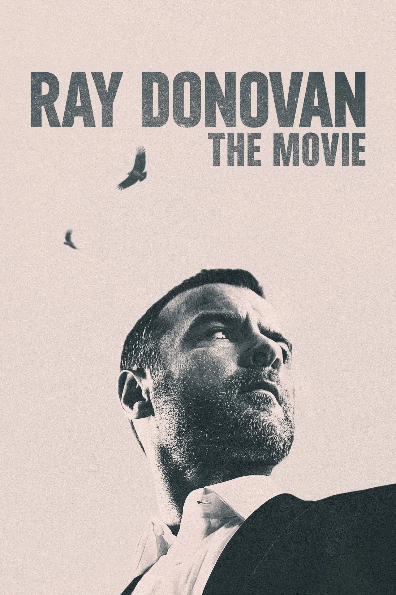 Plakat filmowy "Ray Donovan"