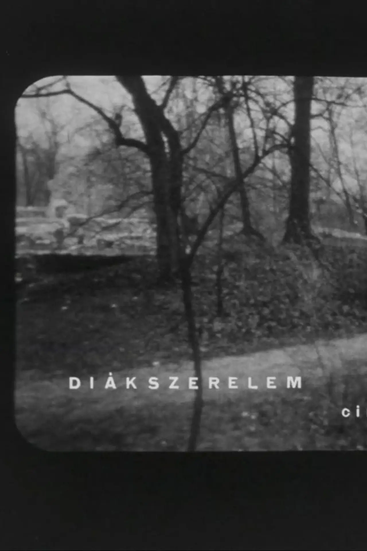Plakat filmowy "Diákszerelem"