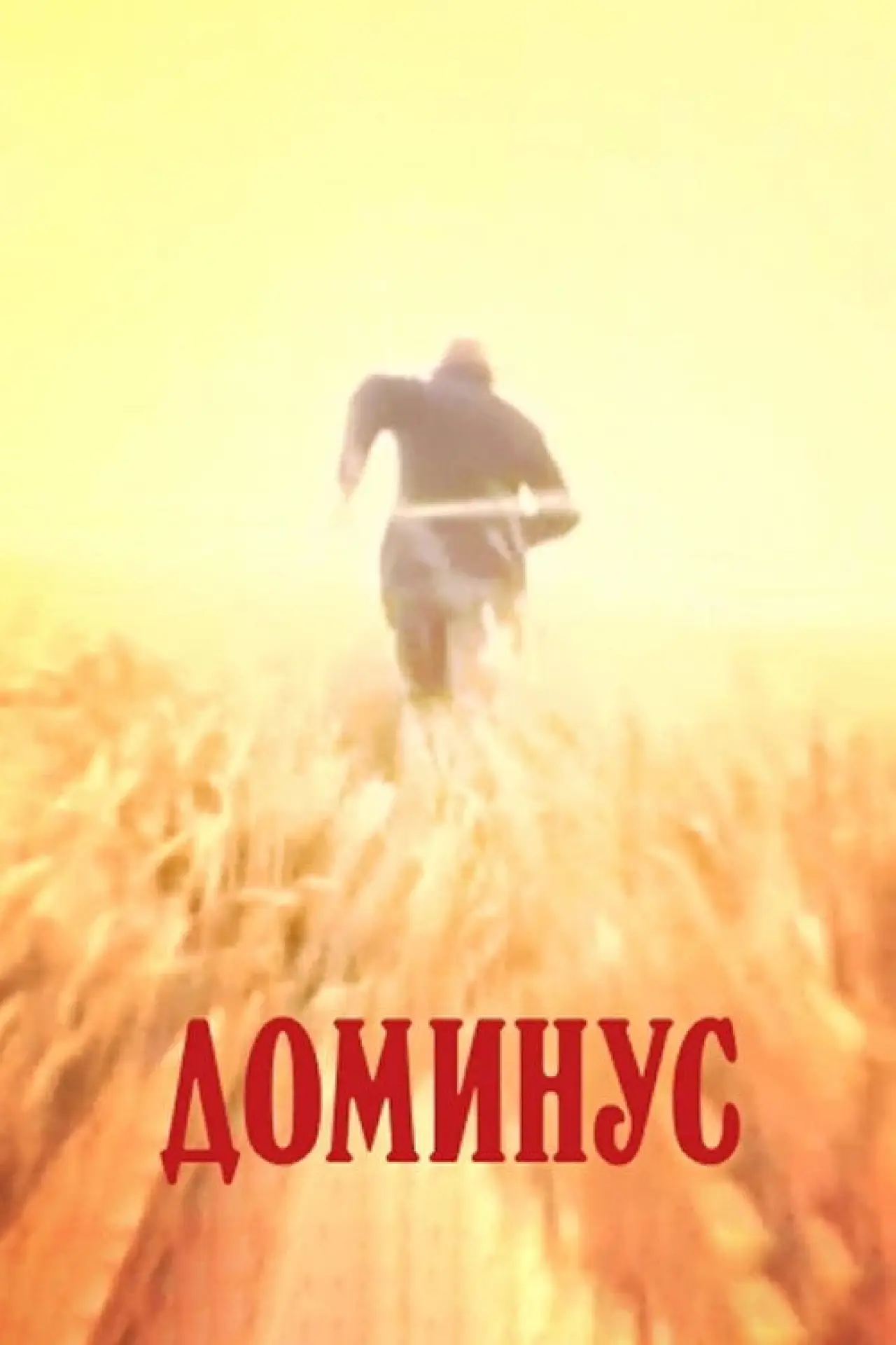 Plakat filmowy "Dominus"