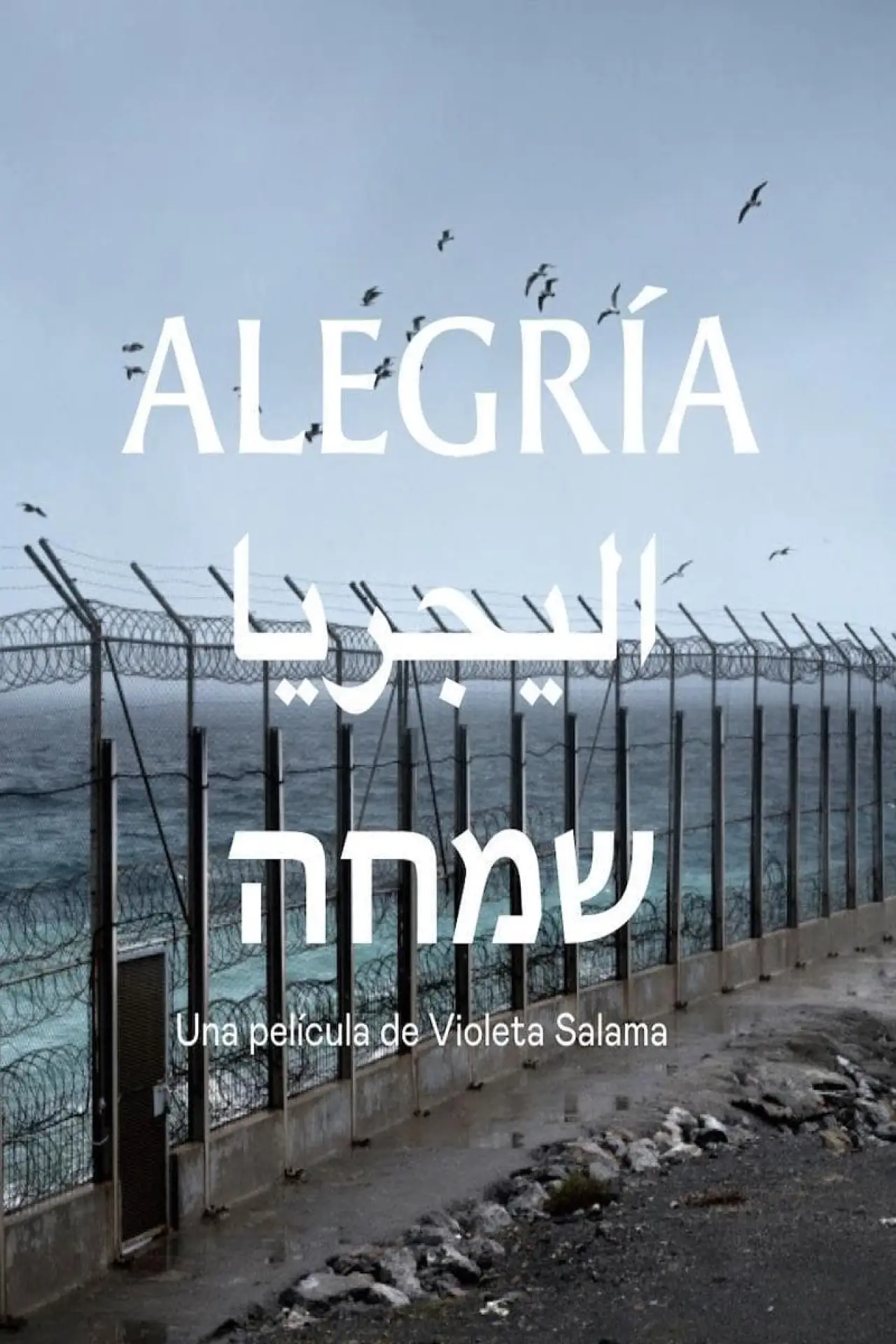 Plakat filmowy "Alegría"