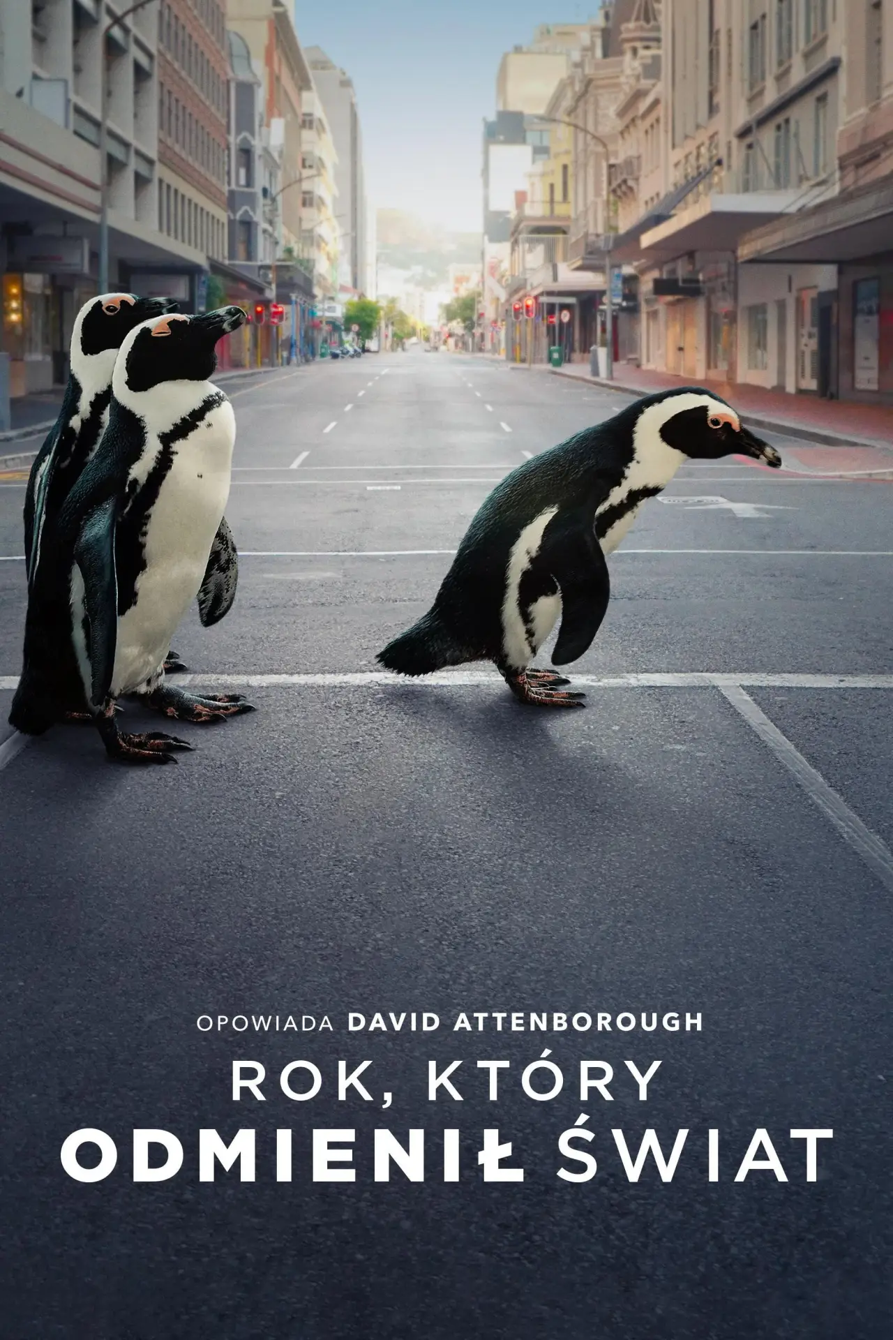 Plakat filmowy "Rok, który odmienił świat"
