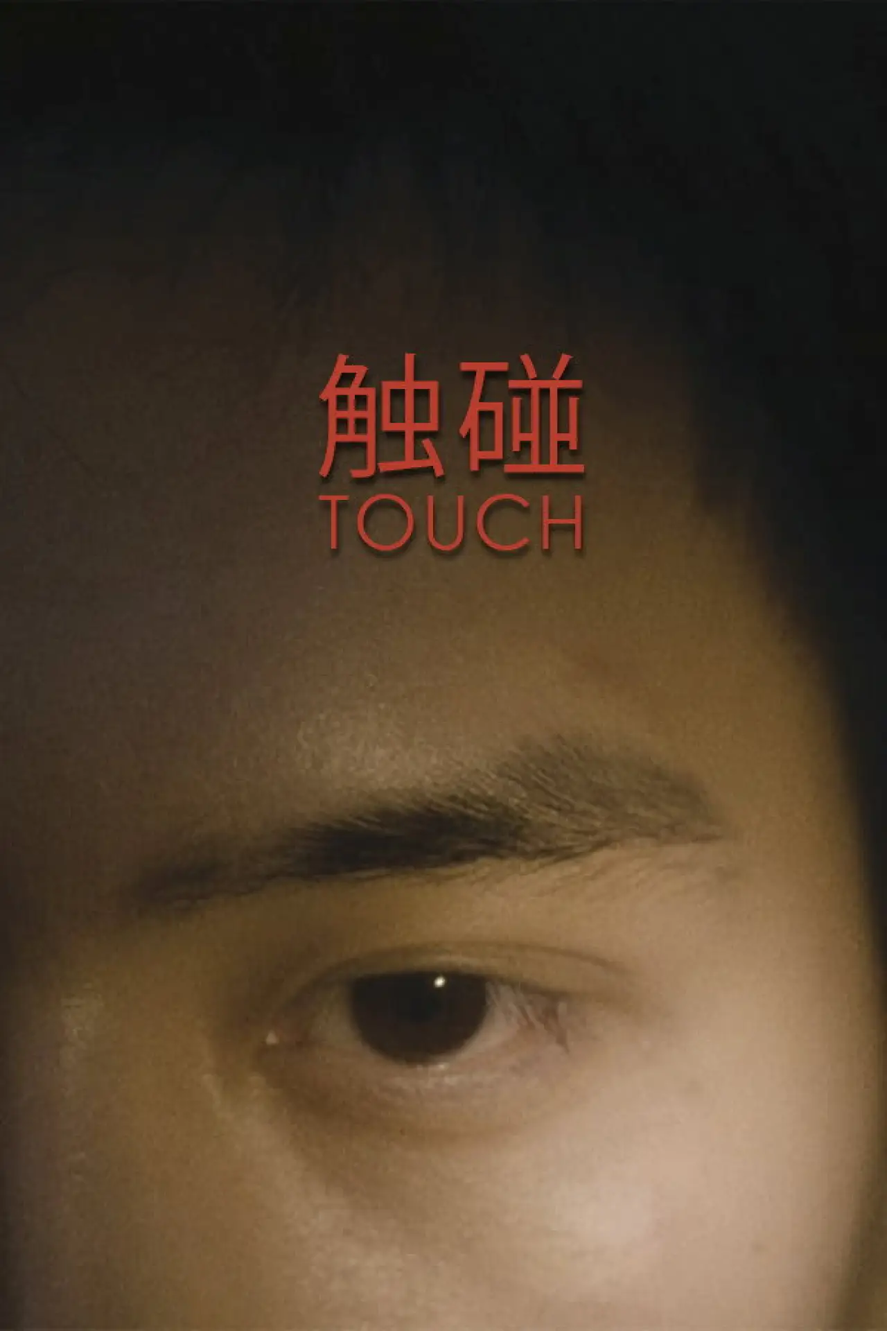 Plakat filmowy "触碰"
