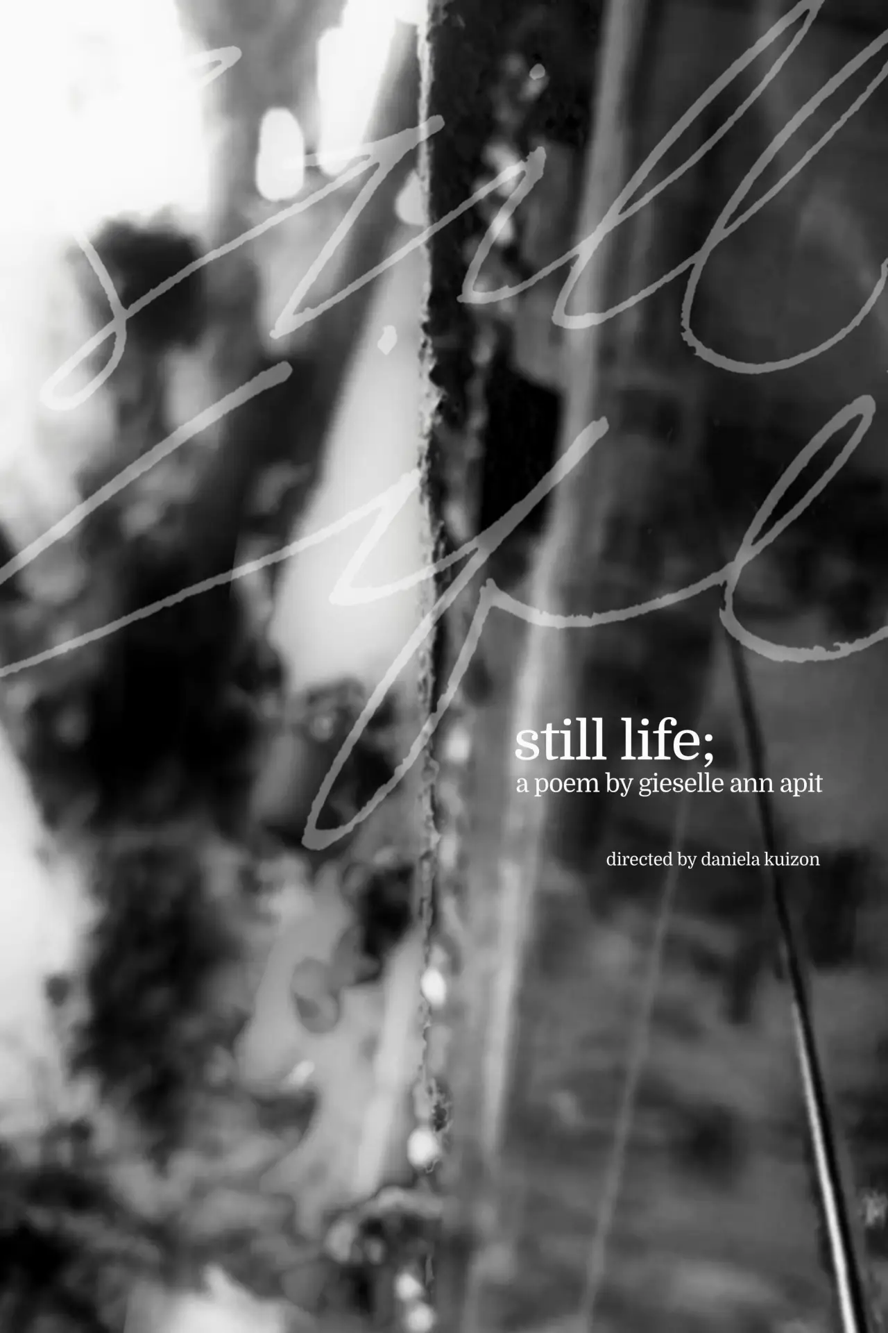 Plakat filmowy "still life"