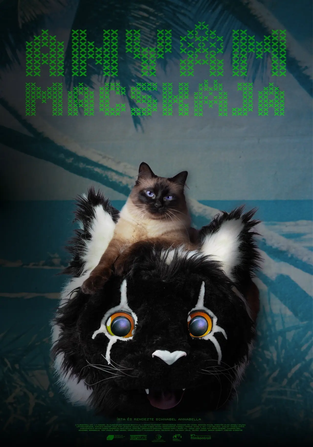 Plakat filmowy "Anyám macskája"