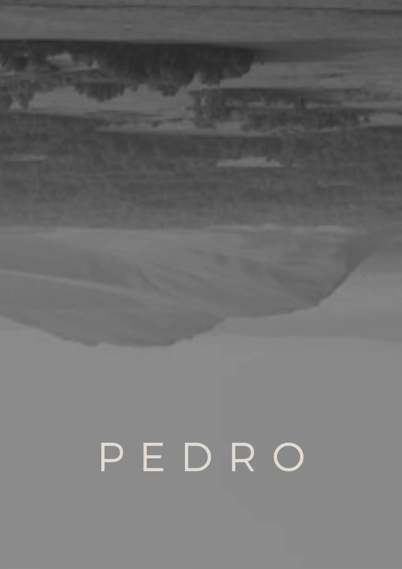 Plakat filmowy "Pedro"