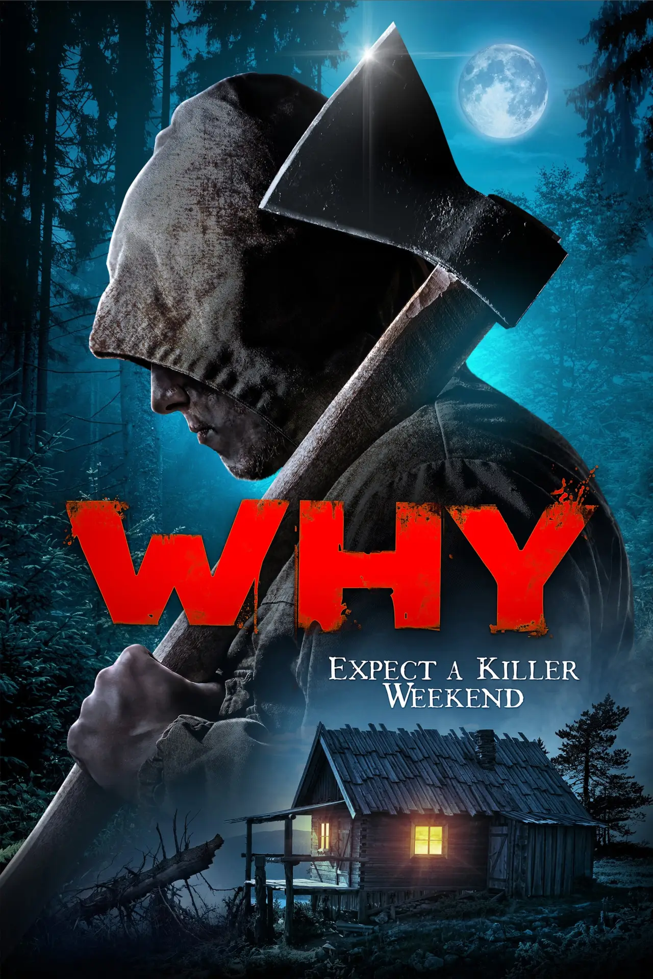 Plakat filmowy "Why?"