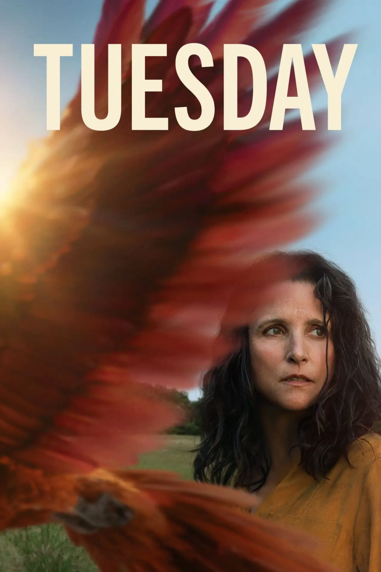 Plakat filmowy "Tuesday"